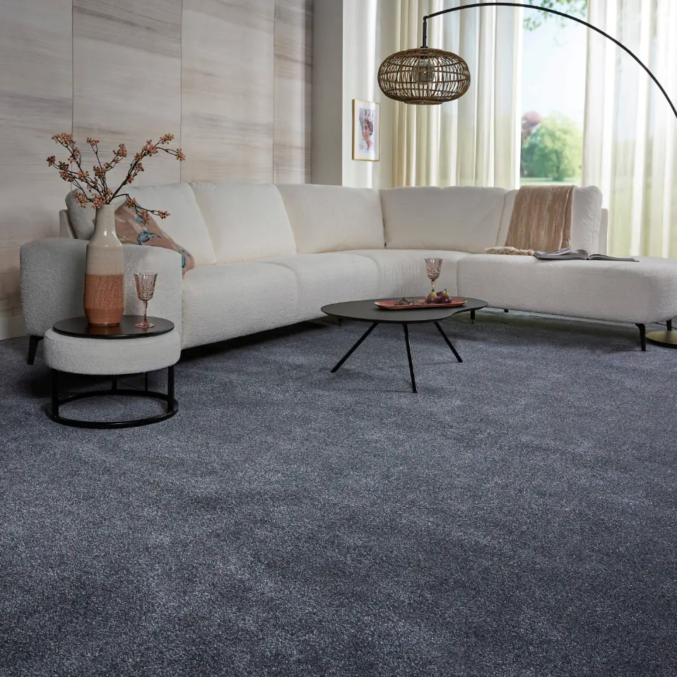 Saxony Carpet